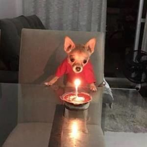 Meet your Posher, Nate